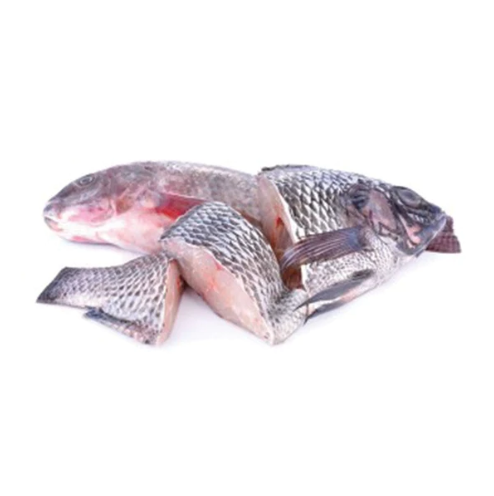 Frozen Tilapia Fish Steak 800g