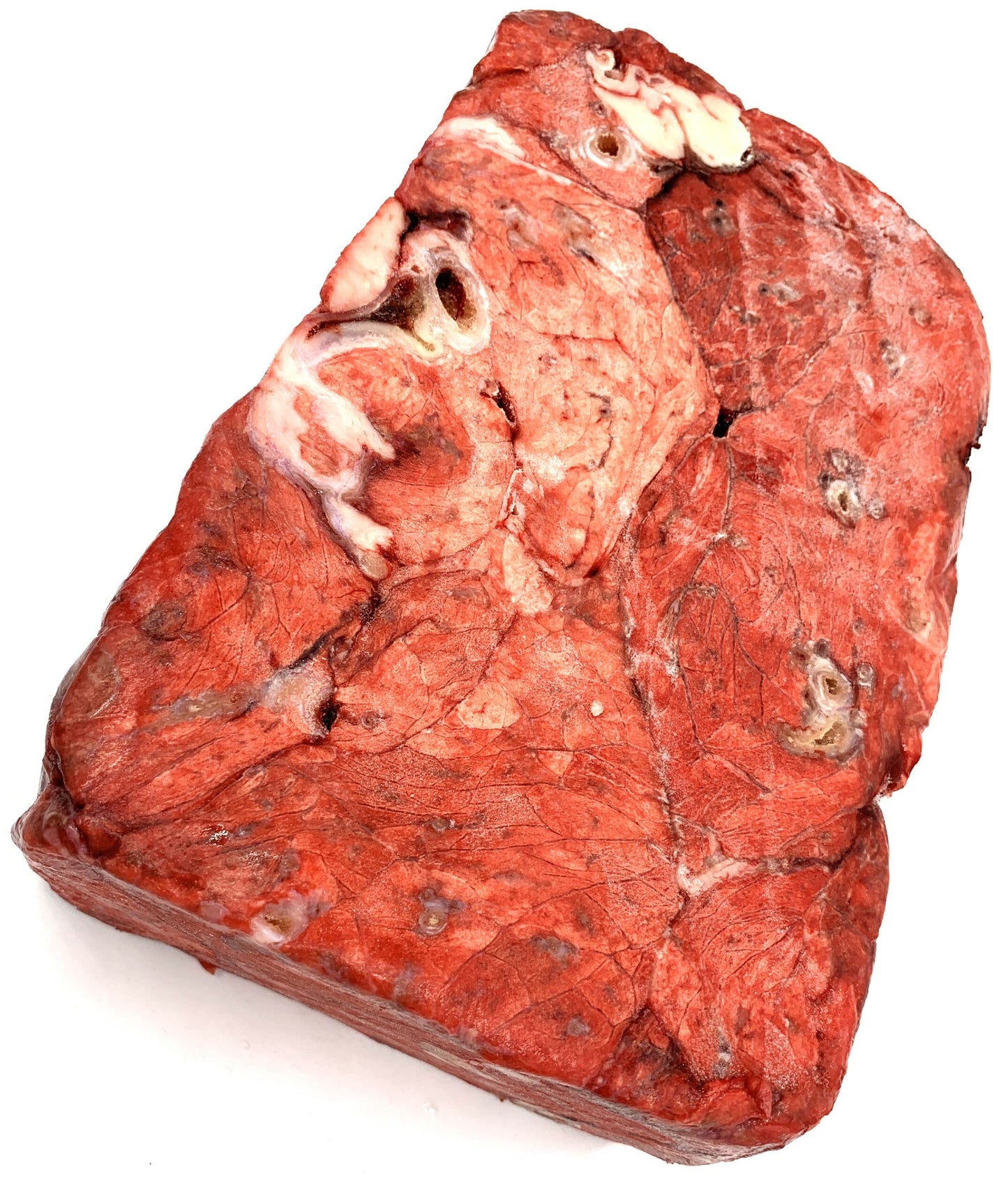 Asko Beef Lung – fuku