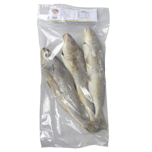 Frozen Yellow Croaker Fish 300-500 2.5kg