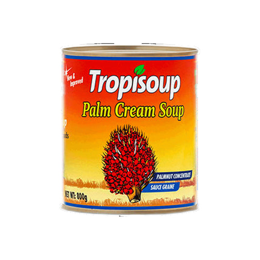 Homefoods Tropisoup Palm cream 800g