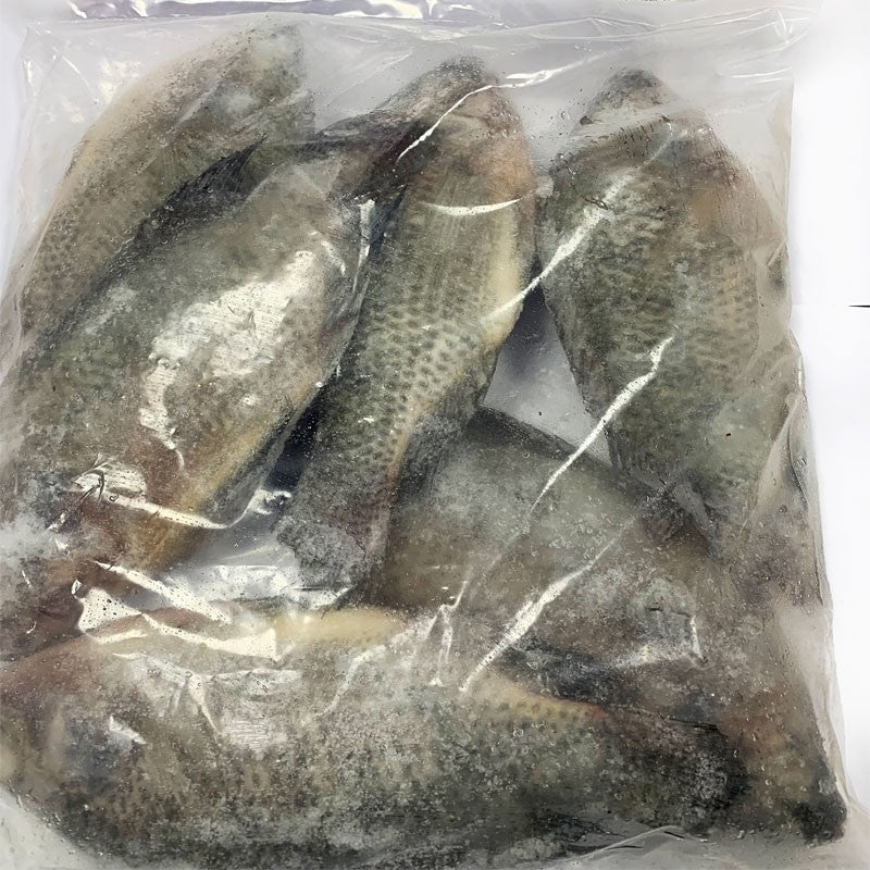 Frozen Tilapia Fish 300-500 (Gutted & Scaled) 2.5kg