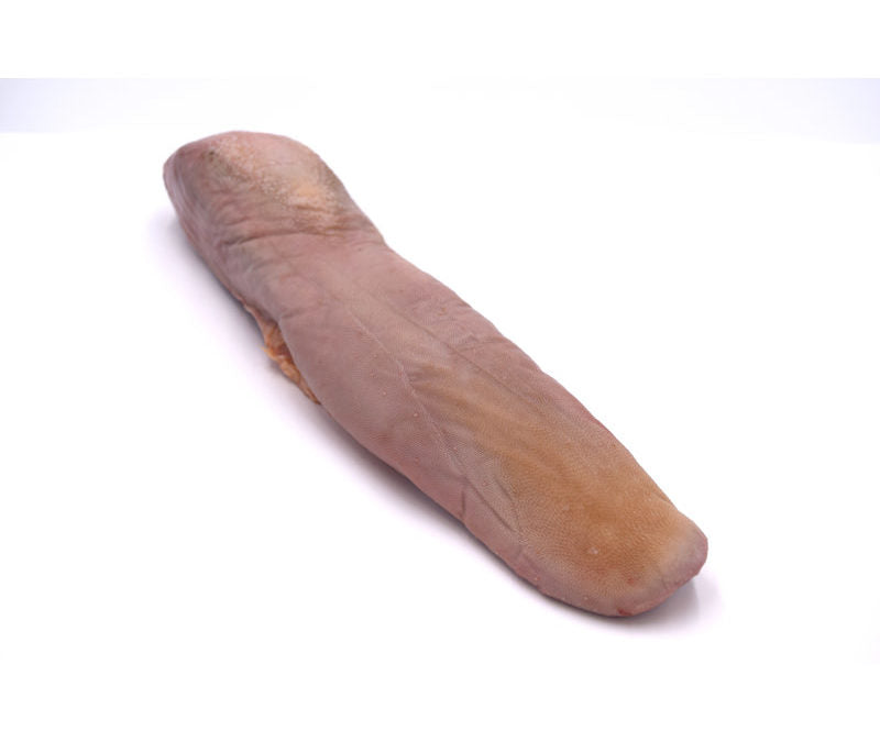 Asko OX tongue